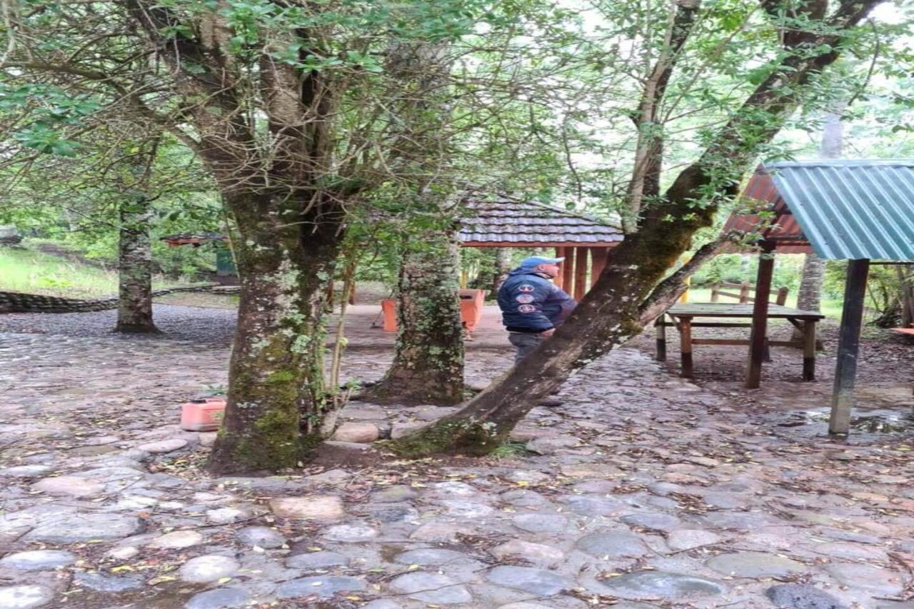 Orillas Del Coilaco Pucón